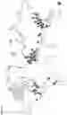 Fig. 02 - Methods for multiplex detection of alleles associated with corneal dystrophy