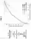 Fig. 03 - COMPOSITIONS AND METHODS FOR DETECTING PROSTATE CANCER