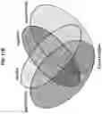 Fig. 31 - COMPOSITIONS AND METHODS FOR DETECTING PROSTATE CANCER