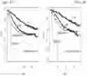 Fig. 06 - GENE EXPRESSION PROFILES TO PREDICT BREAST CANCER OUTCOMES