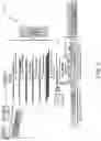 Fig. 06 - Handheld nucleic acid-based assay for rapid identification