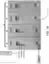 Fig. 15 - Handheld nucleic acid-based assay for rapid identification