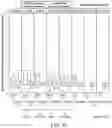 Fig. 101 - GENOME-SCALE HIGH-RESOLUTION MAPPING OF ACTIVATING AND REPRESSIVE NUCLEOTIDES IN REGULATORY REGIONS
