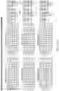 Fig. 41 - GENOME-SCALE HIGH-RESOLUTION MAPPING OF ACTIVATING AND REPRESSIVE NUCLEOTIDES IN REGULATORY REGIONS