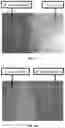 Fig. 10 - Bacillus compositions and uses thereof
