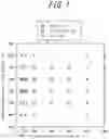 Fig. 02 - Method for manufacturing grain-oriented electrical steel sheet