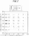 Fig. 03 - Method for manufacturing grain-oriented electrical steel sheet