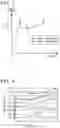 Fig. 03 - Non-oriented electrical steel sheet