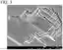 Fig. 03 - High-strength free-cutting copper alloy and method for producing high-strength free-cutting copper alloy