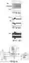 Fig. 04 - Method of making composite articles from silicon carbide