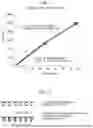 Fig. 02 - Elastic circular-knitted fabric