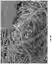 Fig. 07 - Melamine wipes and methods of manufacture