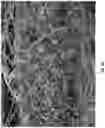 Fig. 09 - Melamine wipes and methods of manufacture