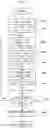 Fig. 17 - Embroidery data generator, embroidery data generation method and non-transitory recording medium