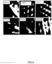 Fig. 15 - Portable device with image sensor and illumination system for textile classification