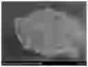 Fig. 01 - Self-fused graphene fiber and method of preparing the same