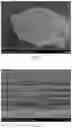 Fig. 02 - Self-fused graphene fiber and method of preparing the same