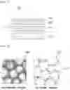 Fig. 02 - Artificial leather having water-based polyurethane foam layer and method of manufacturing the same
