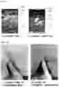 Fig. 04 - Artificial leather having water-based polyurethane foam layer and method of manufacturing the same