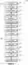 Fig. 02 - Crosslinked pulps, cellulose ether products made therefrom; and related methods of making pulps and cellulose ether products