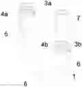 Fig. 01 - APPARATUS FOR AN ADJUSTABLE P-TRAP