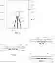 Fig. 30 - TRANSPARENT SHEETS WITH CONNECTION MEMBERS