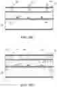 Fig. 12 - Textile-reinforced concrete structure using textile grid fixing apparatus and construction method for the same