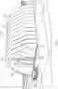 Fig. 02 - Collapsible structure