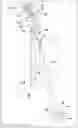 Fig. 01 - Portable door securement device