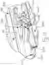 Fig. 11 - Window assembly