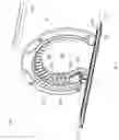 Fig. 03 - Pet portal with integrated and replaceable grooming system