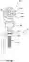 Fig. 04 - ROLLER ASSEMBLY FOR SLIDING SECURITY GRILLES