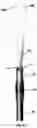 Fig. 09 - Method and assembly for downhole deployment of well equipment