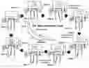 Fig. 01 - Near-adiabatic engine