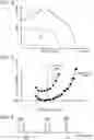 Fig. 07 - Premixed compression ignition engine system