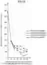 Fig. 13 - INTAKE PASSAGE STRUCTURE FOR TURBOCHARGER-EQUIPPED ENGINE