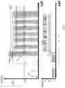 Fig. 06 - Method for starting a combustion engine