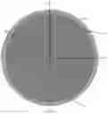 Fig. 03 - Ion thruster with external plasma discharge