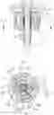 Fig. 04 - Quick action nut and threaded fastener assembly including the same