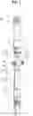 Fig. 02 - Propeller shaft and production method for same
