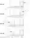 Fig. 05 - Propeller shaft and production method for same