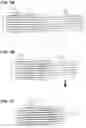 Fig. 06 - Propeller shaft and production method for same