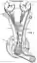 Fig. 02 - Hydraulic tensioner expandable clip lock