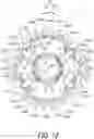 Fig. 13 - Bicycle sprocket