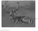 Fig. 01 - Lifelike image dart game