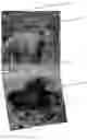 Fig. 04 - Lifelike image dart game