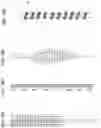 Fig. 14 - Determination device, determination method and program