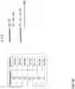 Fig. 56 - Utilizing estimated traversal values to accelerate the determination of high quality solutions to routing problems