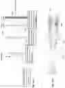 Fig. 02 - Wavefront sensor device and method