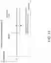 Fig. 15 - Dual wavelength distributed temperature sensing with built-in fiber integrity monitoring